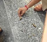 Gunmen fire several rounds at YouTuber Elvish Yadav's Gurugram home