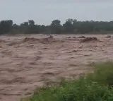 Kathua Four Killed in Jammu Kashmir Flood Disaster