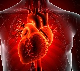 Covid can accelerate ageing in blood vessels by 5 years in women: Study