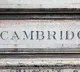 Cambridge Dictionary Adds Skibidi and Delulu