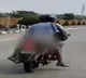 Maharashtra Accident AI Helps Police Identify Vehicle