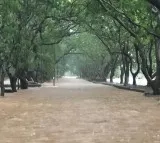 Mumbai's Mithi River crosses danger mark; beaches closed amid heavy rain, high tide