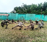 CRPF Issues High Alert on Fake App Threat