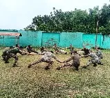 CRPF Issues High Alert on Fake App Threat