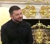Reporter Praises Zelenskys Outfit His Witty Reply