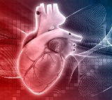 First Grade Student Dies of Heart Attack in Karnataka