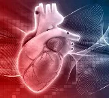 First Grade Student Dies of Heart Attack in Karnataka