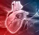First Grade Student Dies of Heart Attack in Karnataka