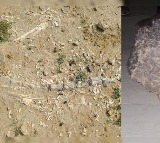 Dinosaur Era Fossils Discovered in Rajasthan Lake