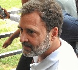 Rooted in scientific reasoning: LoP Rahul Gandhi welcomes modified SC order on stray dogs