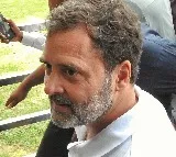 Rooted in scientific reasoning: LoP Rahul Gandhi welcomes modified SC order on stray dogs
