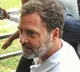 Rooted in scientific reasoning: LoP Rahul Gandhi welcomes modified SC order on stray dogs