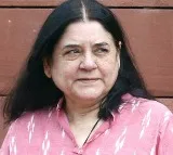 Maneka Gandhi welcomes Supreme Court’s modified directions on stray dogs in Delhi-NCR