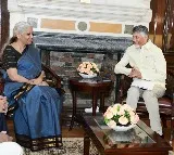 Andhra Pradesh CM meets FM Sitharaman, seeks additional funds under SACSI