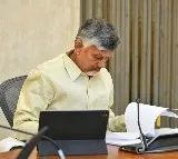 Chandrababu Naidu Focuses on Party Strength Observers for 25 Constituencies