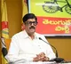 Anam Ramanarayana Reddy Accuses YCP of Spreading False Propaganda on temples