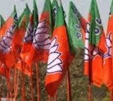 BJP President Election Delay Reason Explained