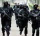 NSG Commandos How are NSG Commandos Selected