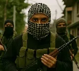 Seven suspected IS terrorists arrested in Iraq