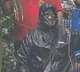 Dharamasthala case: SIT arrests complainant for 'misleading' authorities