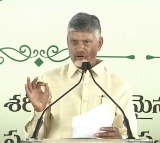 Chandrababu Naidu Fires at YSRCP in Peddapuram Meeting
