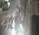 Street Dogs Attack Man in Pimpri Chinchwad Caught on CCTV