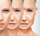 OpenAI AI reverses aging process possible