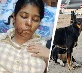 Kanpur College Student Vaishnavi Sahu Injured in Dog Attack