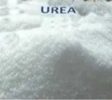 Urea shortage hits Telangana farmers hard
