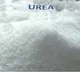 Urea shortage hits Telangana farmers hard