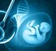 Genetic testing of IVF embryos can help women over 35 conceive faster: Study