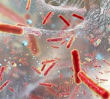 IIT Madras Develops Low Cost Device for Rapid Antibiotic Resistance Detection