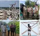 AP Police Save Youth Attempting Suicide Over Family Issues