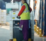 Flipkart to create over 22 lakh additional seasonal job opportunities this festive season