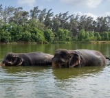 Will fully comply with SC order to appoint SIT: Vantara