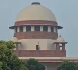 NGT can't order an ED probe, rules SC