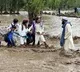 Pakistan: Death toll in relentless rainfall in Khyber Pakhtunkhwa climbs to 406