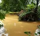IMD issues heavy rainfall warning for Odisha amid flood crisis