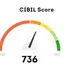 CIBIL Score Errors Over 22 Lakh Complaints