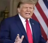 Donald Trump Health Scare White Spot on Hand