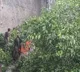30 killed in Mata Vaishno Devi shrine route cloudburst, flood situation worsens in Jammu