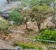 My thoughts are with bereaved families: PM Modi expresses grief over Vaishno Devi landslide