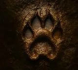 India's first full-length feature film with a real lion announced!