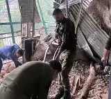 30 Dead After Landslide Near Vaishno Devi Shrine In Jammu And Kashmir
