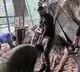 30 Dead After Landslide Near Vaishno Devi Shrine In Jammu And Kashmir