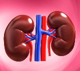 Benjamin Dekel Develops Lab Grown Kidney Model