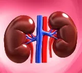 Benjamin Dekel Develops Lab Grown Kidney Model