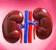 Benjamin Dekel Develops Lab Grown Kidney Model