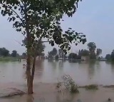 Punjab flood: Thousands spend night on rooftops; await relief material