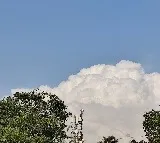 Telangana Rains Red Alert Issued for Several Districts